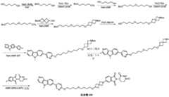 Figure GDA0003638934920004202