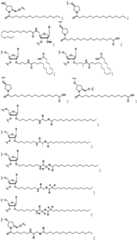 Figure FDA0003746740790000041