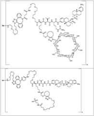 Figure FDA0002889616210000471