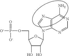 Figure US08754062-20140617-C00089