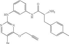 Figure US07504410-20090317-C00112