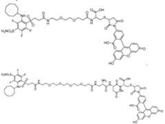 Figure imgf000088_0002