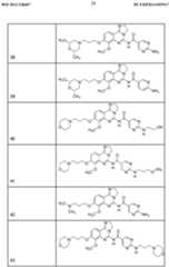 Figure imgf000025_0001