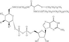 Figure US07405198-20080729-C00044