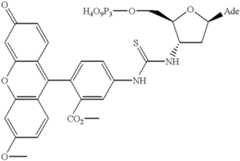 Figure US06596856-20030722-C00004
