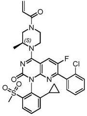 Figure BDA0002861043520000782