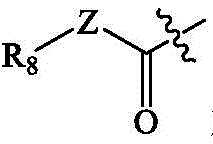 Figure BDA0002854352890000052