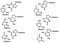 Figure imgf000082_0002
