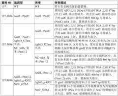 Figure GDA0002992446570002351