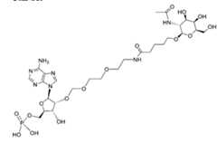 Figure 112117718-A0304-12-0013-3