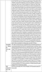 Figure BDA0004033970230005241