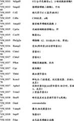 Figure BDA0000057170160001481