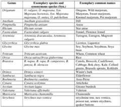 Figure imgf000012_0001