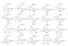 Figure imgf000015_0001