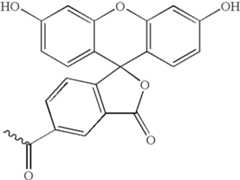 Figure US08278274-20121002-C00008