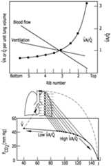 Figure imgf000012_0001