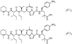 Figure imgf000051_0001