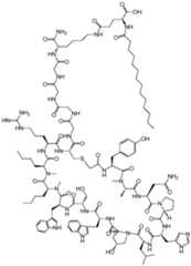 Figure imgf000261_0001