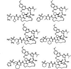 Figure A2004800399470009C1