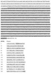 Figure imgf000086_0001