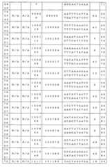 Figure 0007646616000213