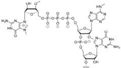 Figure imgf000067_0001