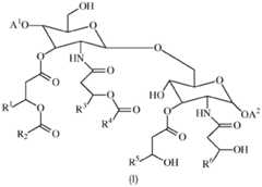 Figure BDA0000618428130000561