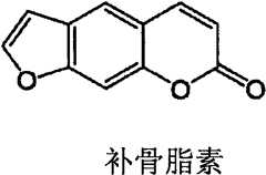 Figure BPA0000297503240000211