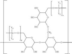 Figure US08029771-20111004-C00006