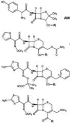 Figure imgf000217_0001