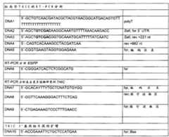 Figure G2008800241744D00711