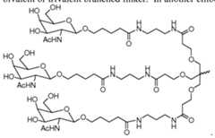 Figure imgf000007_0001