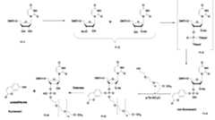 Figure imgf000191_0001