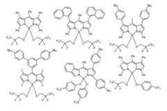 Figure imgf000170_0001
