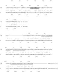 Figure BDA0004097668430000651