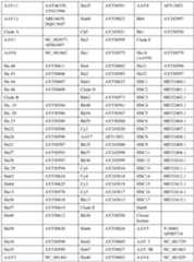 Figure imgf000017_0001