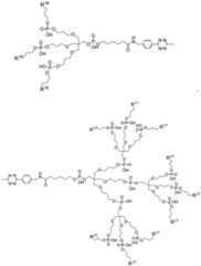 Figure BDA0003670511740002181