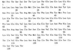 Figure S051B3657X20051024D000342