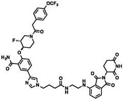 Figure BDA0002964098100002241