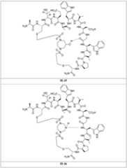 Figure 2024156841000403