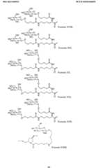 Figure imgf000089_0001