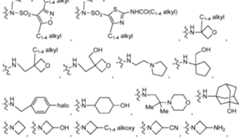 Figure imgf000010_0001