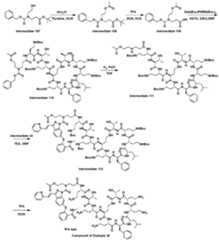 Figure imgf000119_0001