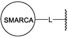 Figure BDA0003783300830000571