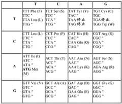 Figure BDA0001814810910000521