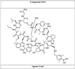 Figure imgf000050_0002