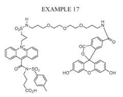 Figure imgf000073_0001
