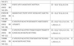 Figure GDA0002398356730000131