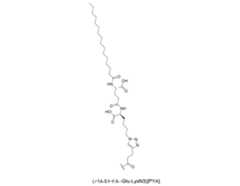 Figure 0007704732000010