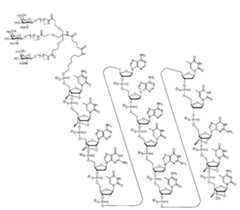 Figure 0007422816000016